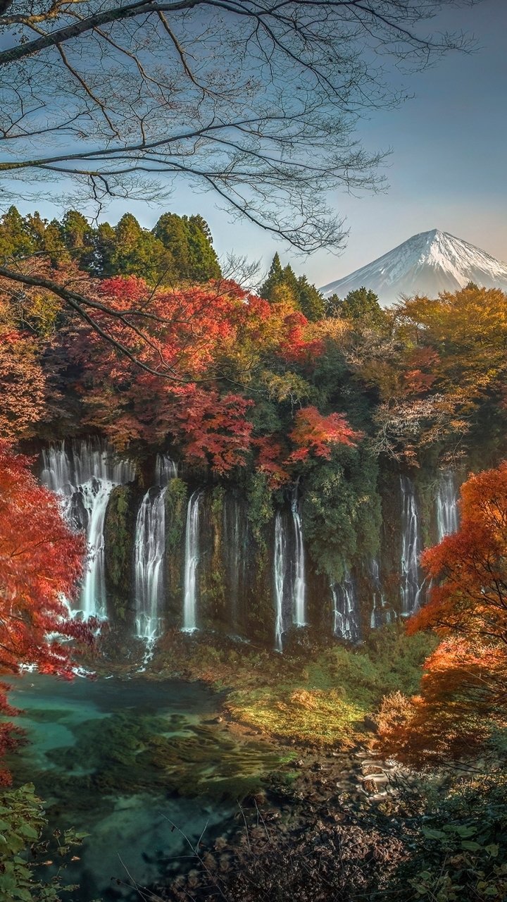 Vertical phone wallpaper: Shiraito Falls, Japan — autumn maple foliage and cascading waters with Mount Fuji rising misty in the background.