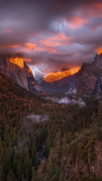 valley landscape California nature Yosemite National Park Phone Wallpaper