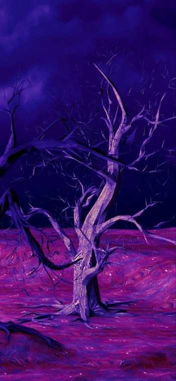  Mystical Dark Forest by kai kalhh
