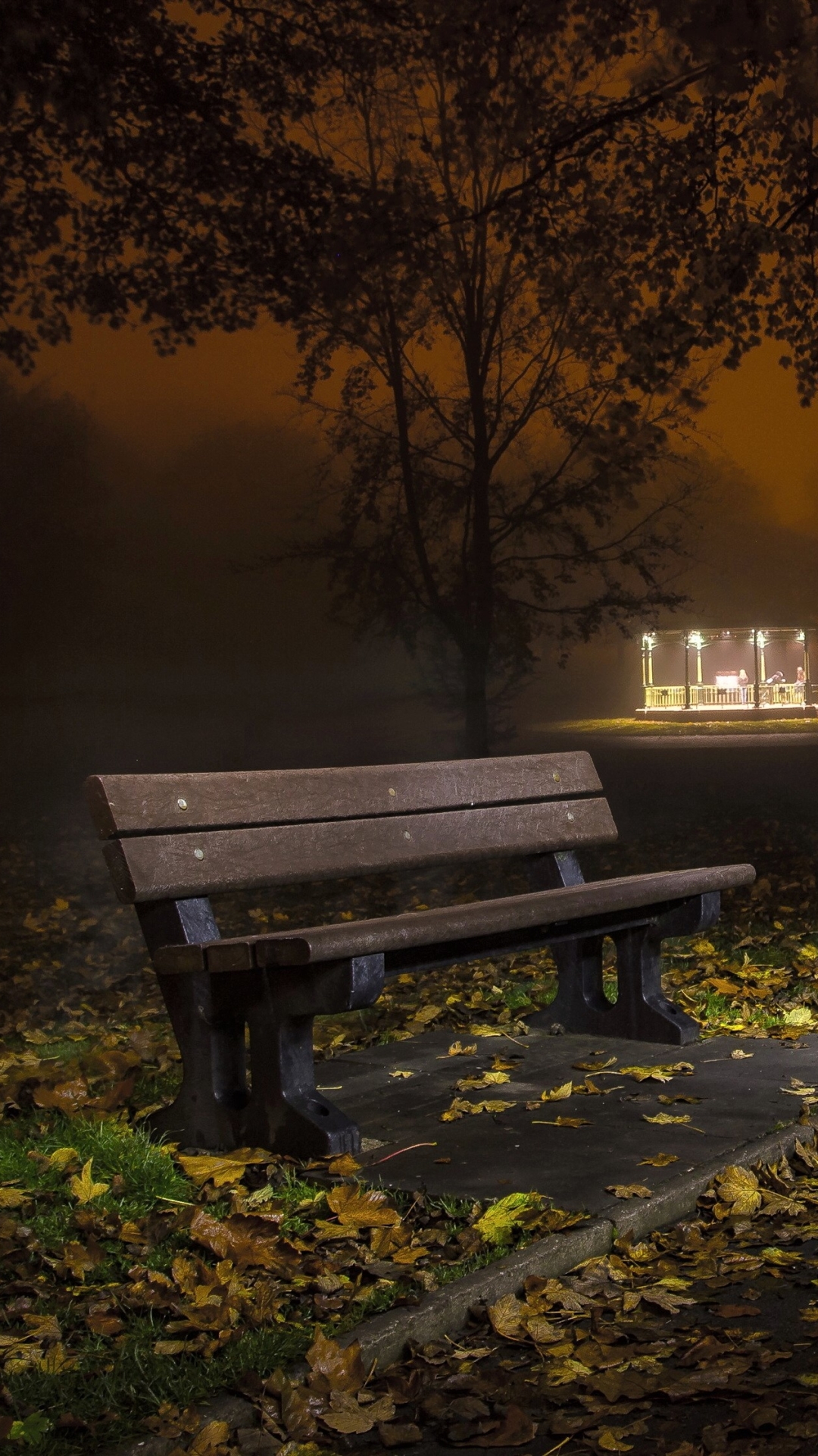 Bench in Autumn Park at Night