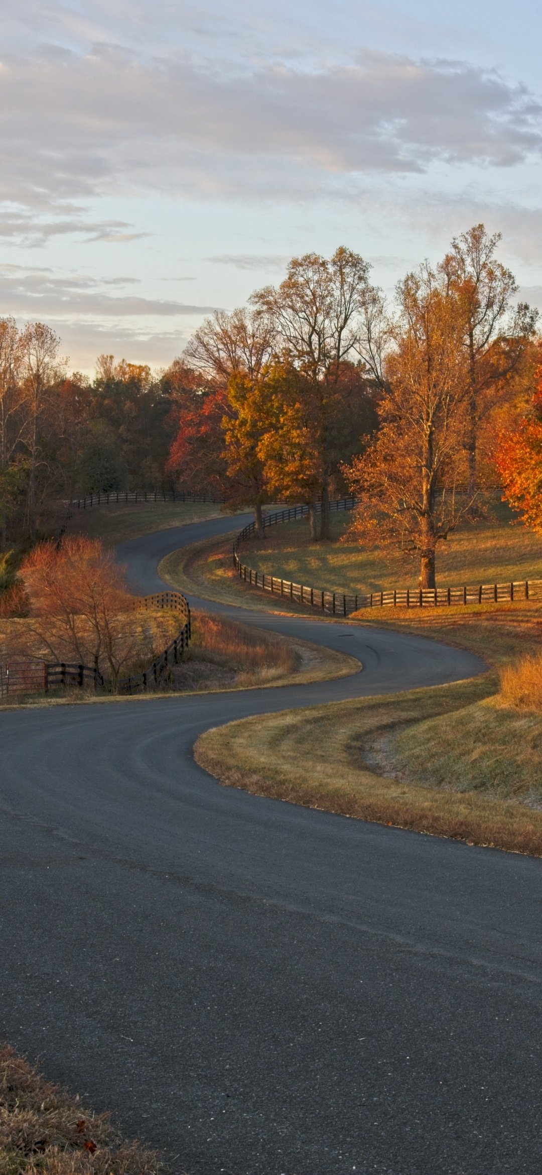 Download Fall Man Made Road Phone Wallpaper