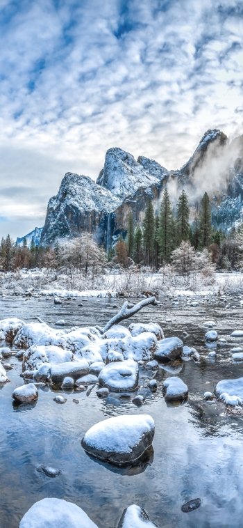 winter nature Yosemite National Park Phone Wallpaper