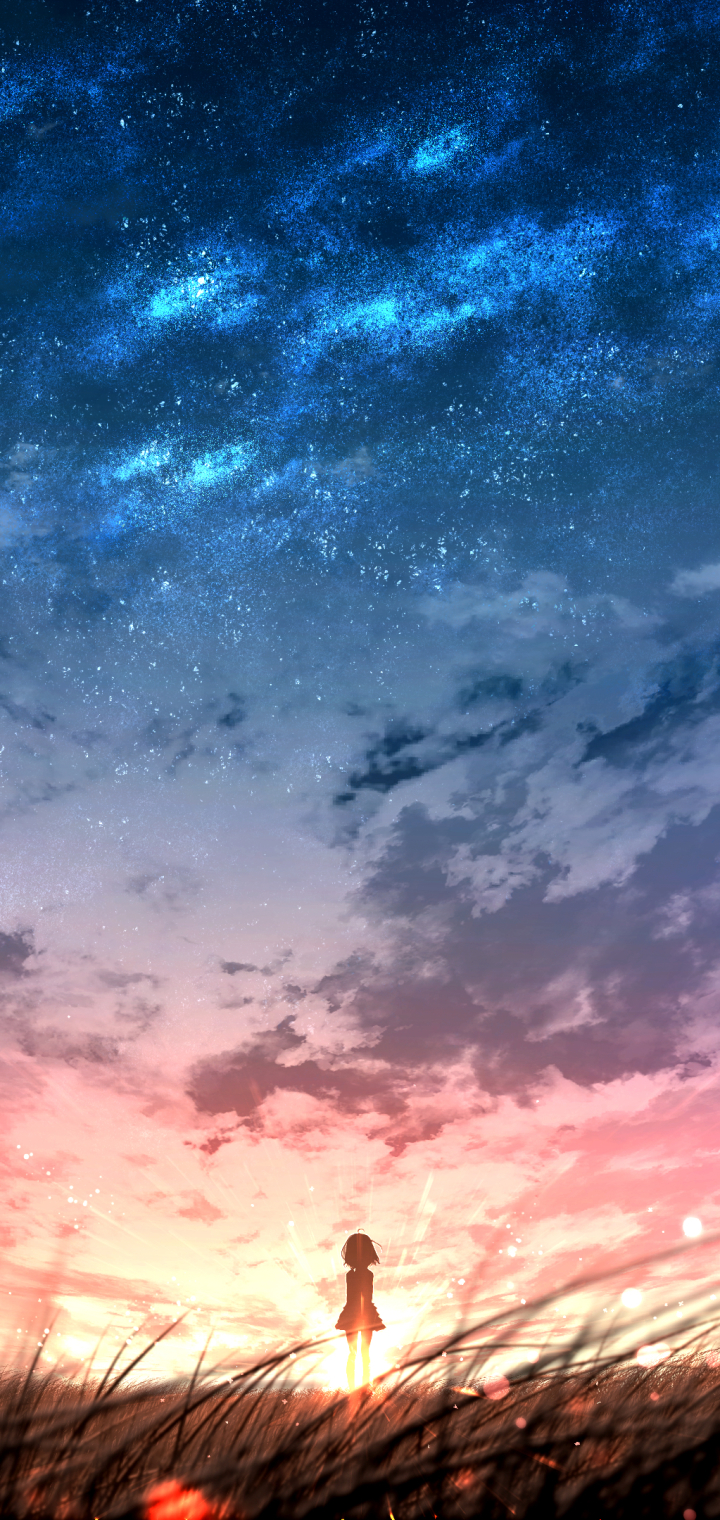 Anime Sunset Phone Wallpaper by furi