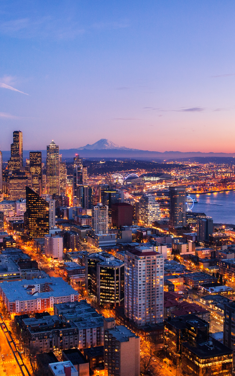 Aerial view of Seattle, Washington by Michael Matti