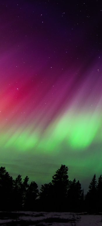 sky Norway nature aurora borealis Phone Wallpaper
