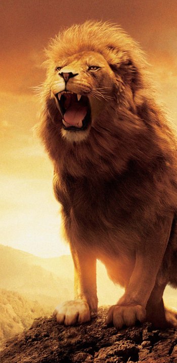 The Chronicles of Narnia lion Aslan movie The Chronicles of Narnia: The Lion, the Witch and the Wardrobe Phone Wallpaper