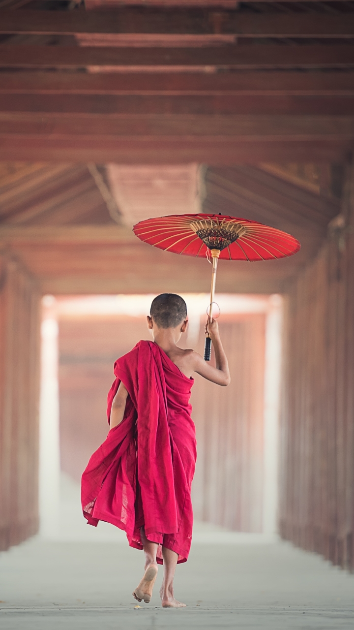 A Young Monk in Burma