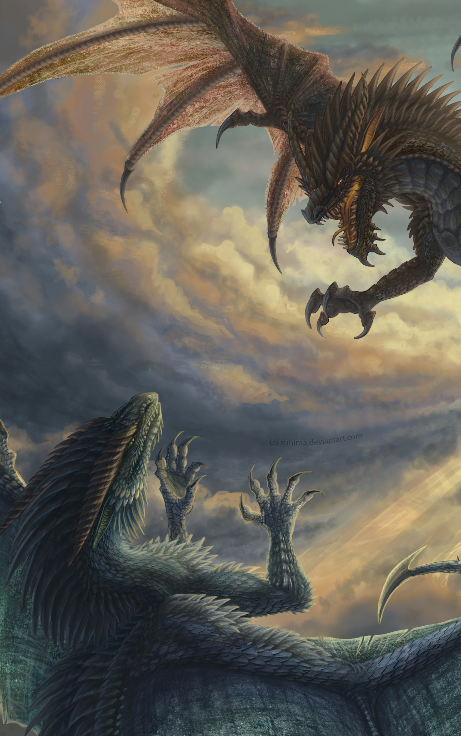 Dragons by Sunima
