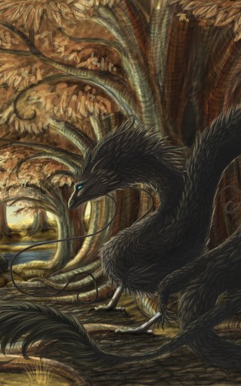  Unexpected encounter by Sunima