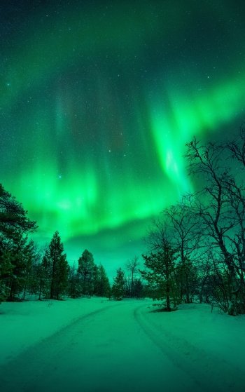 nature night snow sky winter aurora borealis winter night Phone Wallpaper