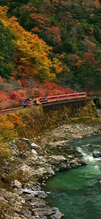  Train Traveling through Autumn Mountains