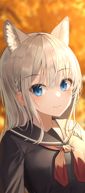 blue eyes animal ears Anime girl anime girl Phone Wallpaper