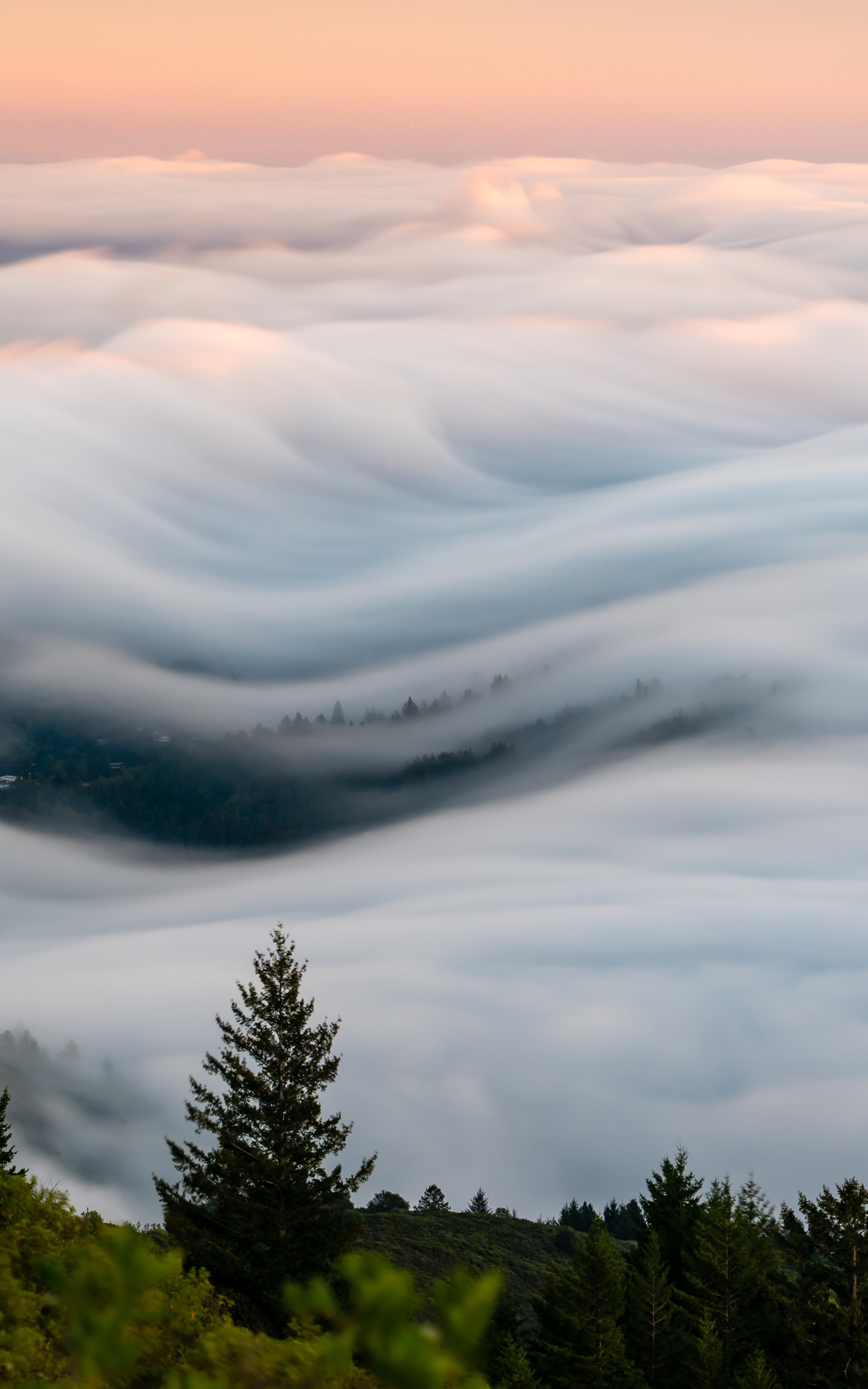 Mount Tamalpais Fog wave by Zetong Li