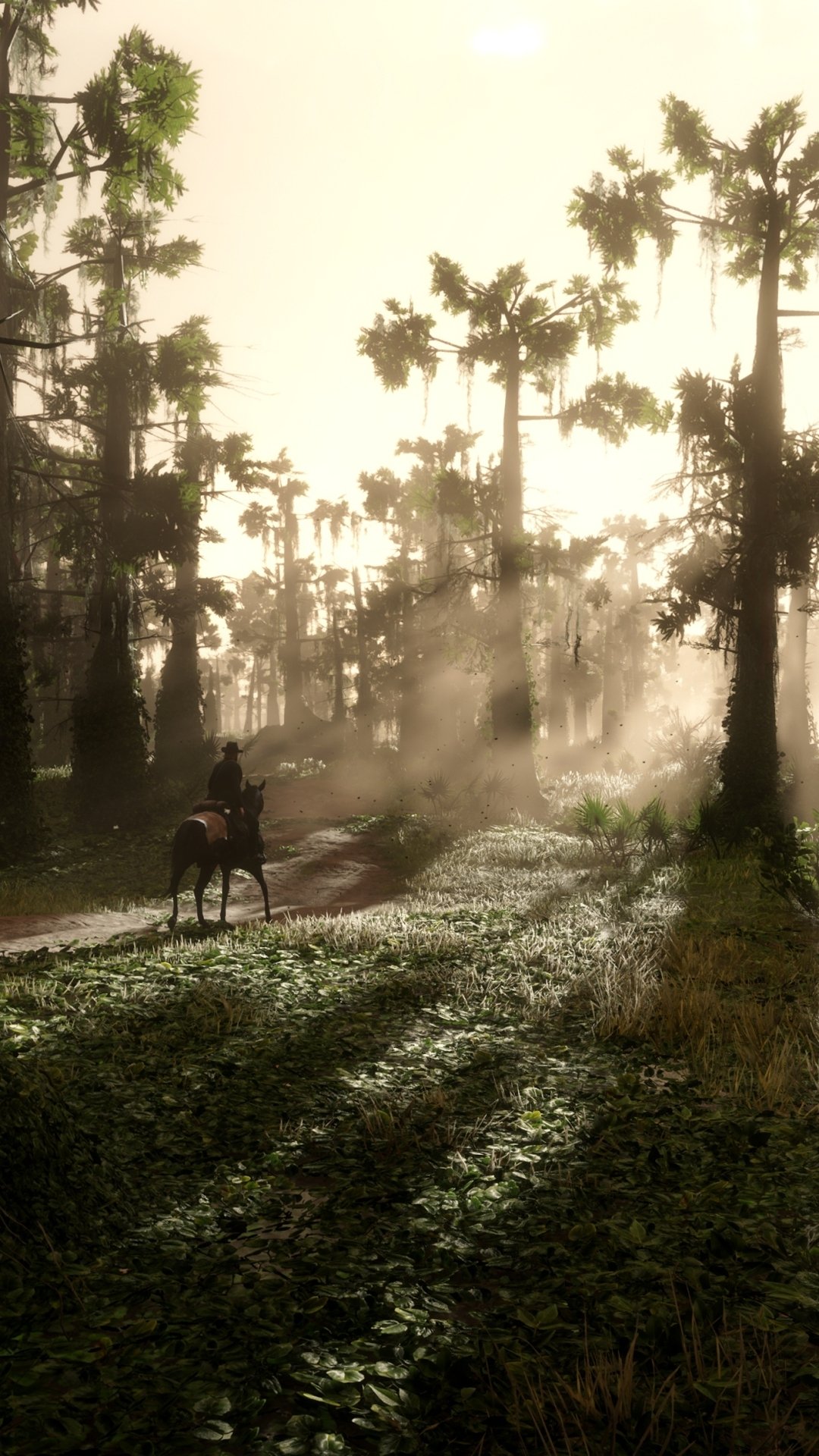 Download Video Game Red Dead Redemption 2 Phone Wallpaper