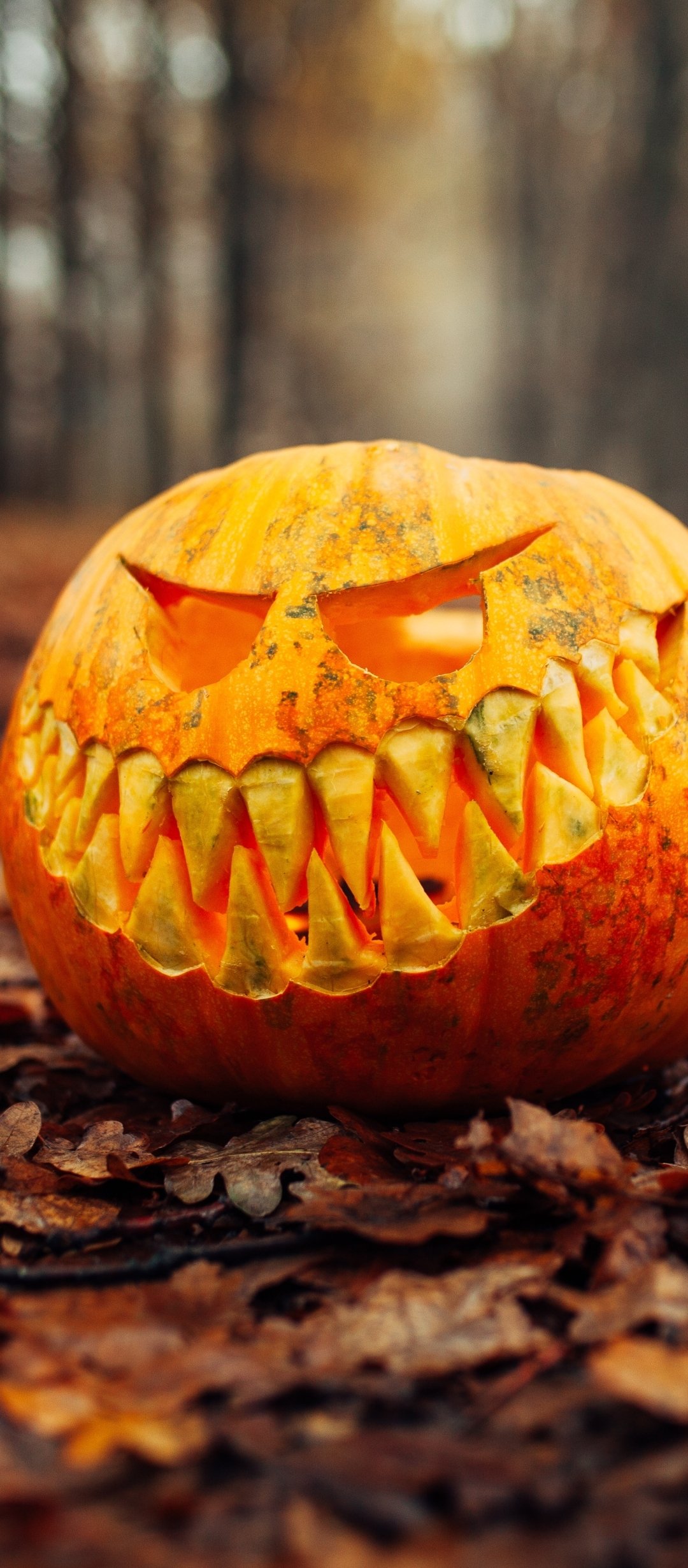 Download Jack-o'-lantern Pumpkin Holiday Halloween Phone Wallpaper