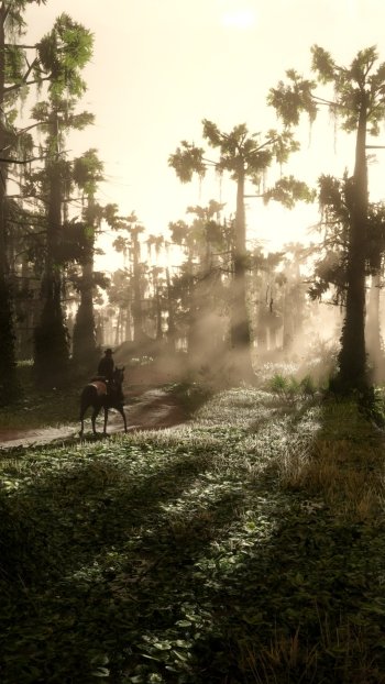 video game Red Dead Redemption 2 Phone Wallpaper