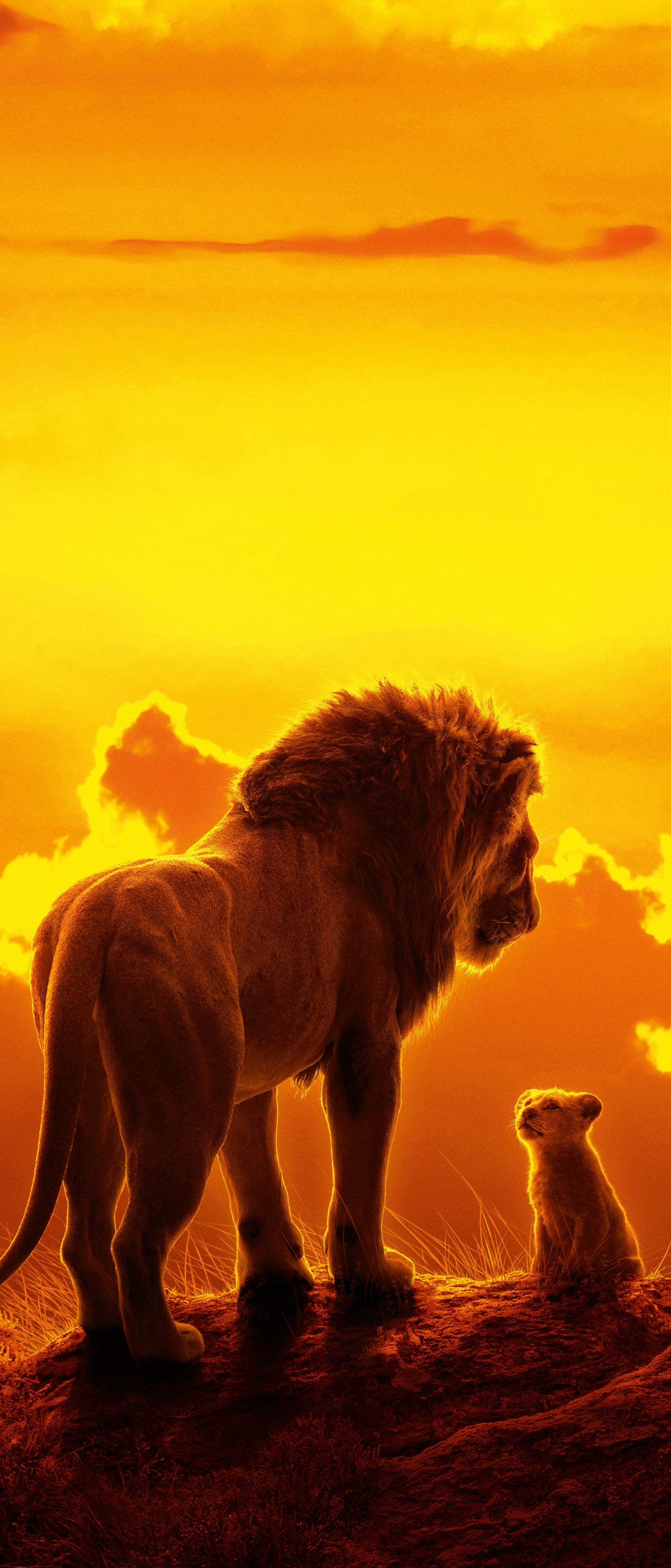 The Lion King (2019) Phone Wallpaper