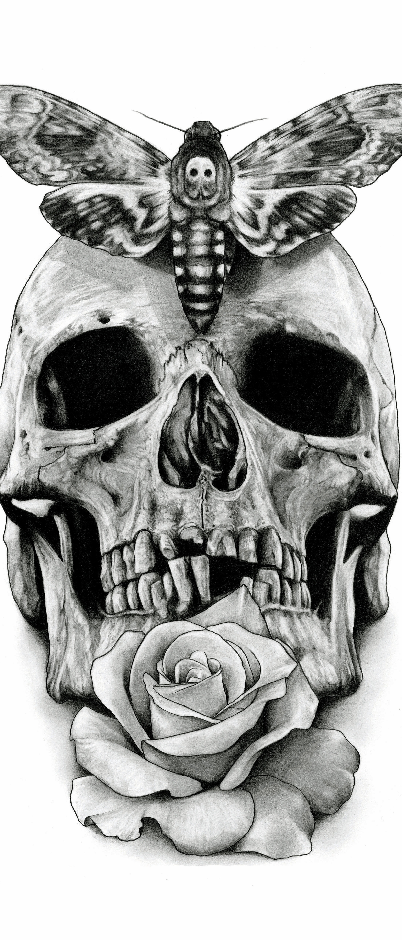 Skull Phone Wallpaper