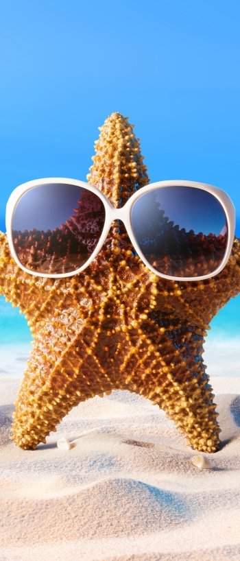 sunglasses starfish artistic summer Phone Wallpaper