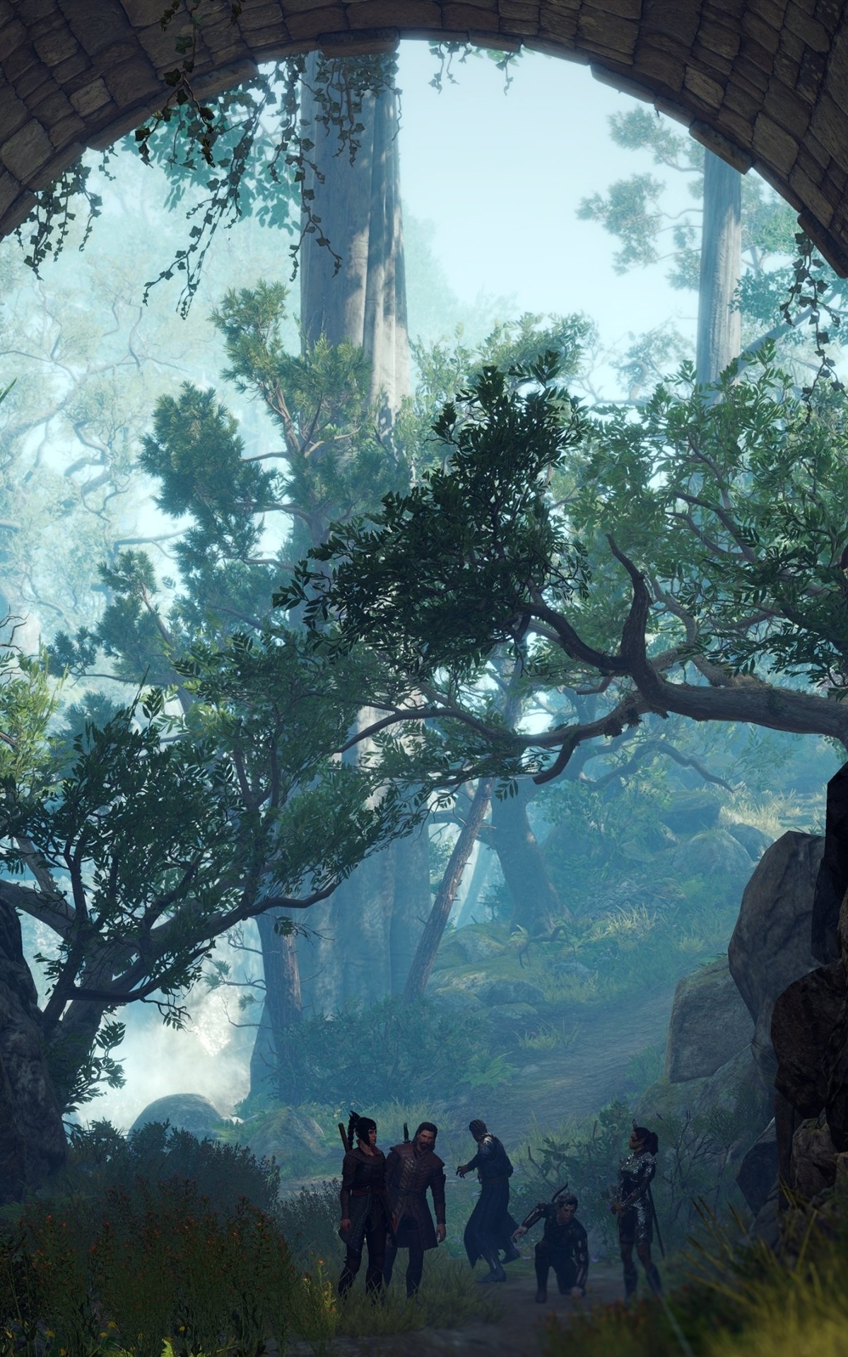 Baldur's Gate 3 phone wallpaper: misty forest framed by a stone arch, towering trees and tangled branches, with a small silhouetted party of adventurers on a shadowed path.