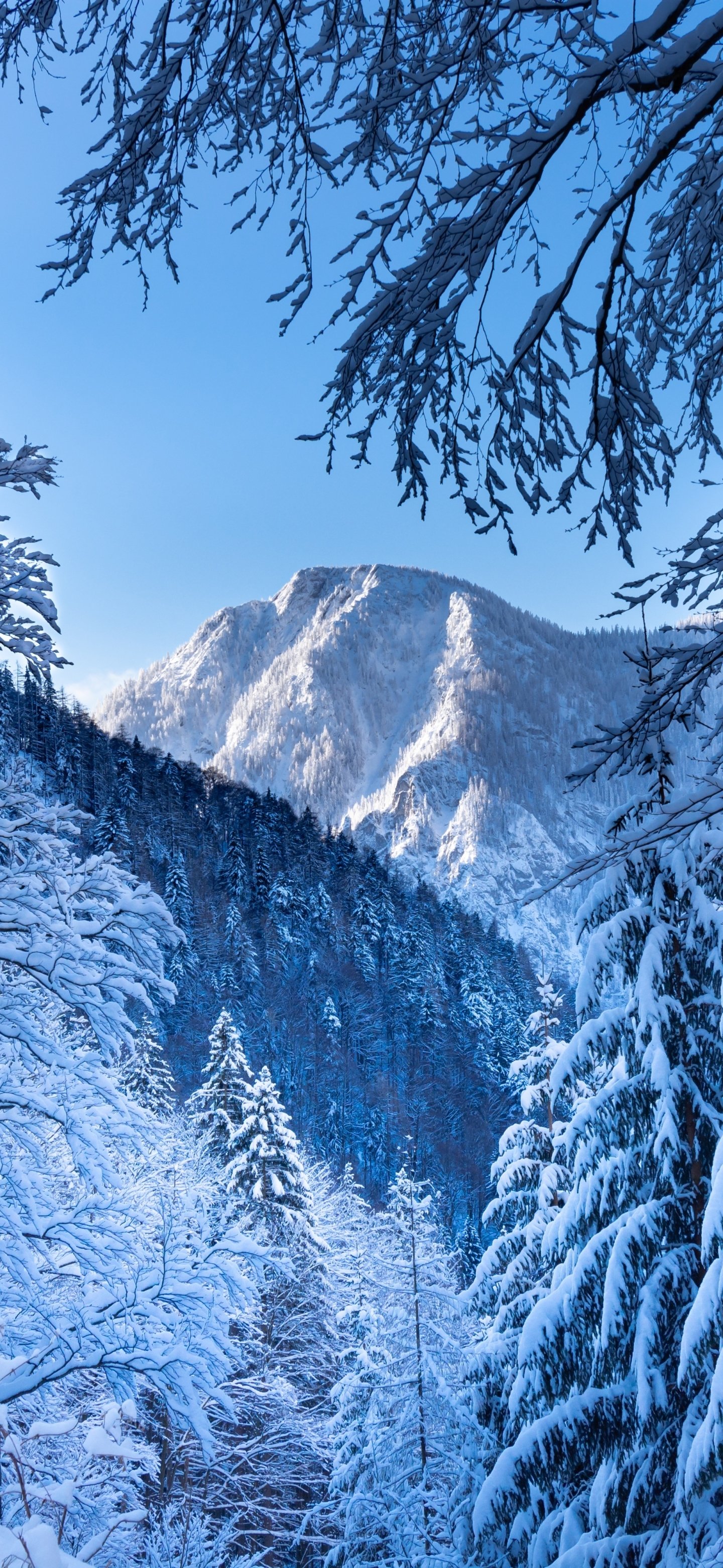 Download Mountain Alps Austria Nature Winter Phone Wallpaper