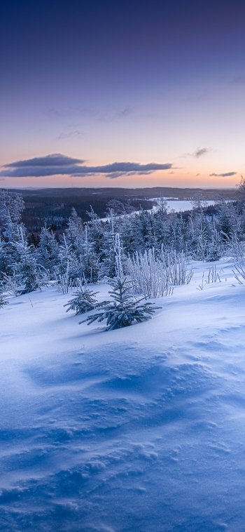 horizon landscape snow nature winter Phone Wallpaper