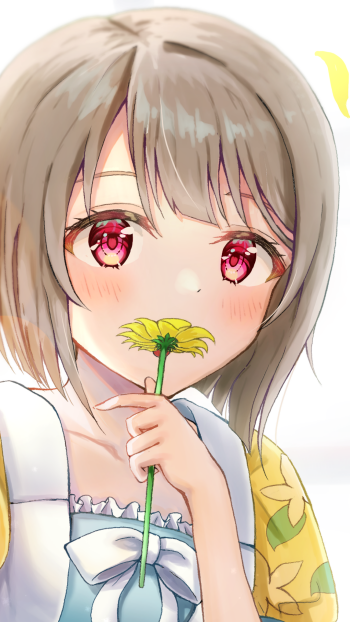 Kasumi Nakasu pink eyes short hair Anime Love Live! Nijigasaki High School Idol Club Phone Wallpaper