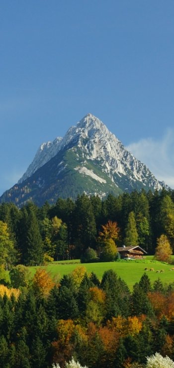 nature mountain Phone Wallpaper