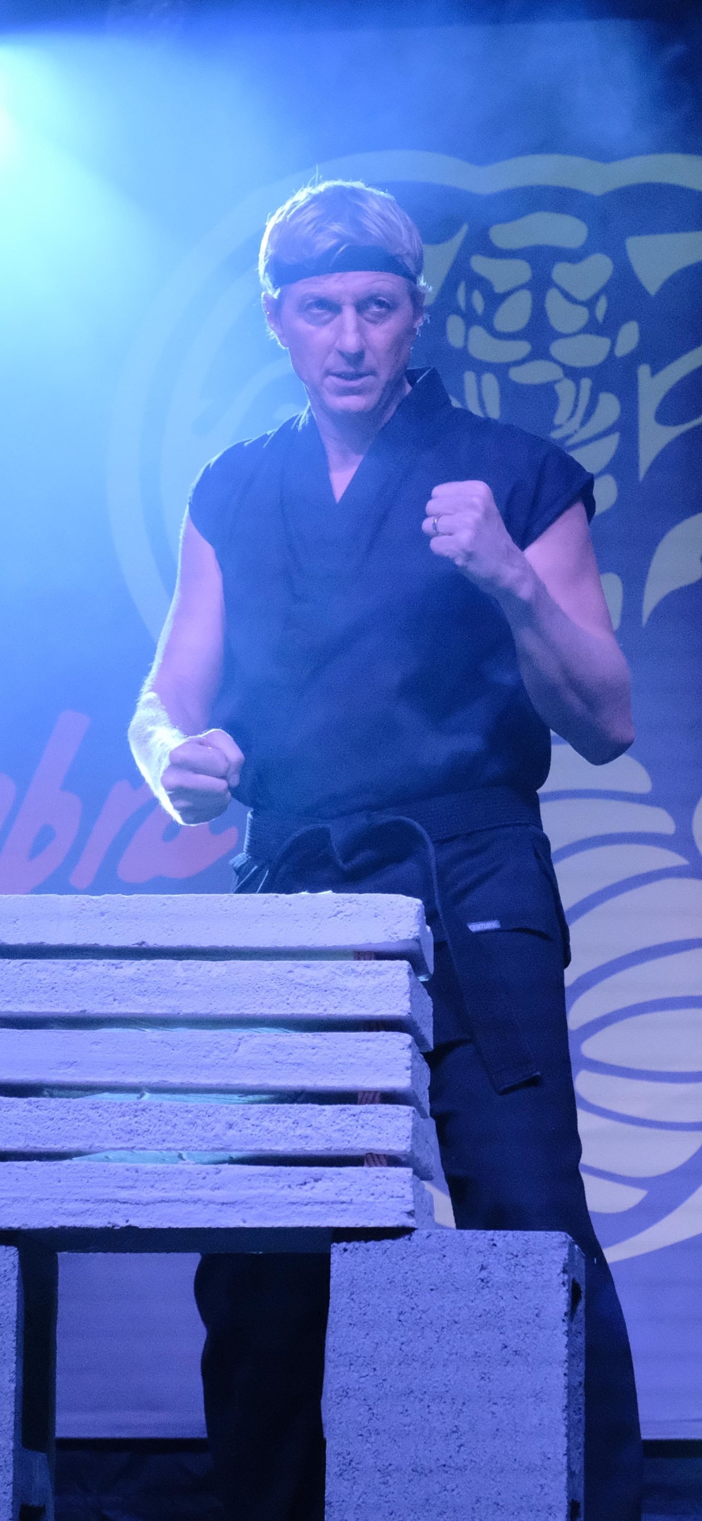Phone wallpaper featuring Cobra Kai — a martial artist in a black gi breaking boards on stage with a large cobra emblem backdrop and dramatic blue lighting.
