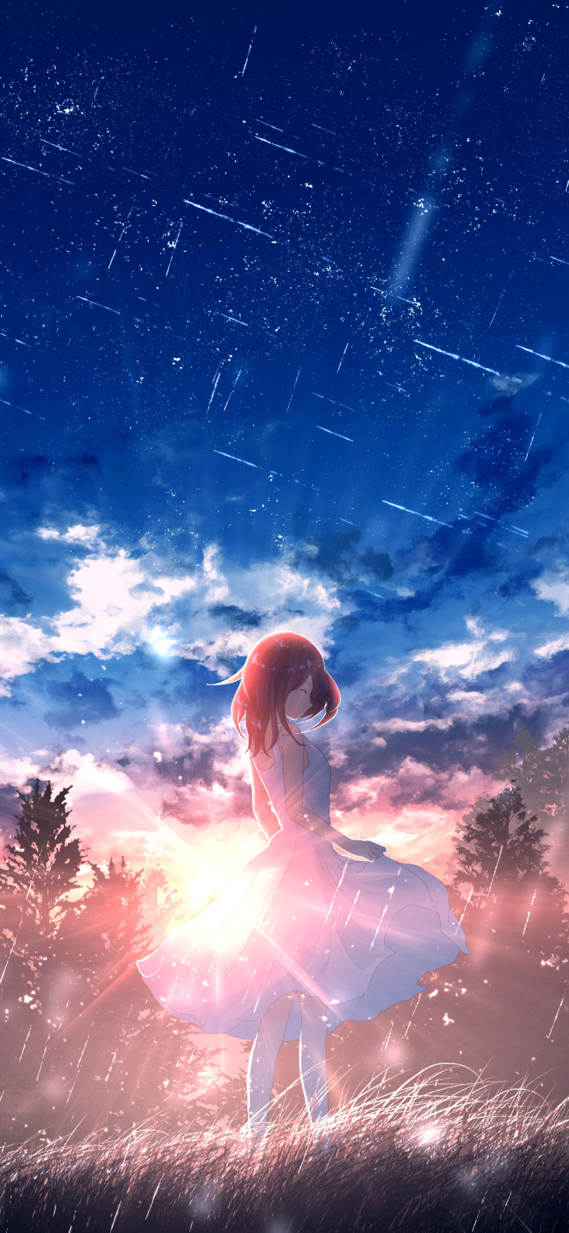 Anime Girl Silhouette Comet Sunrise Scenery 4K Wallpaper iPhone HD Phone  7490i