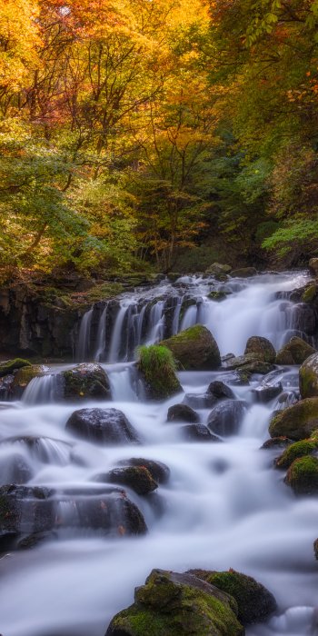 Japan landscape stream nature waterfall Phone Wallpaper