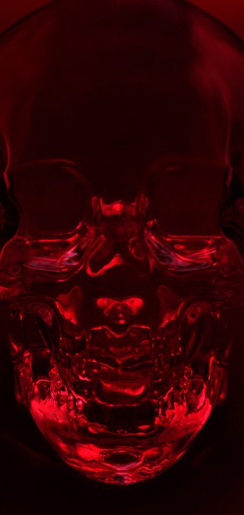 dark skull Phone Wallpaper