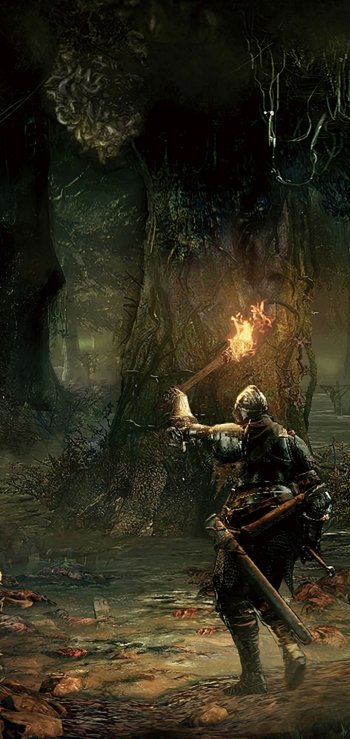 video game Dark Souls III Phone Wallpaper