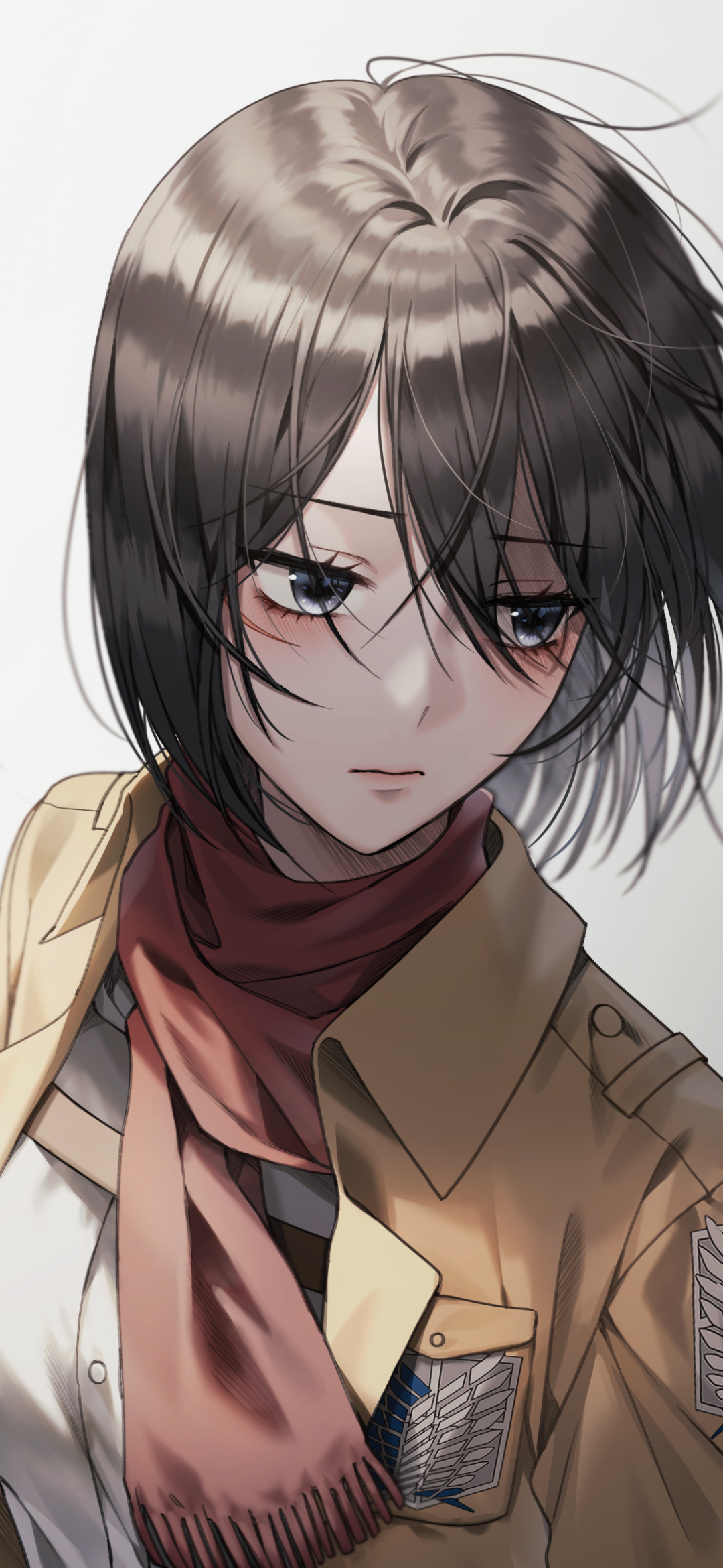 Phone wallpaper featuring Mikasa Ackerman from Attack on Titan, rendered in detailed anime style with soft shading and expressive eyes, compatible with iPhones and Android devices.