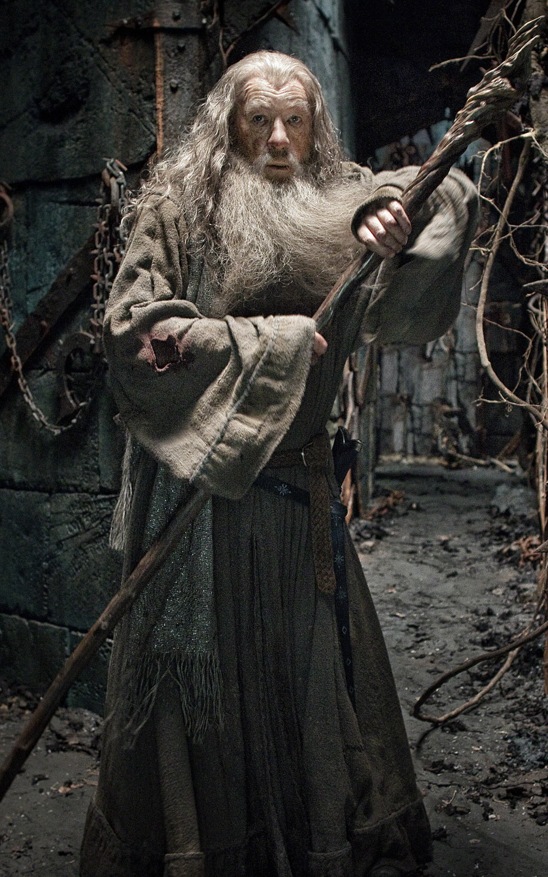 The Hobbit: The Desolation of Smaug Phone Wallpaper