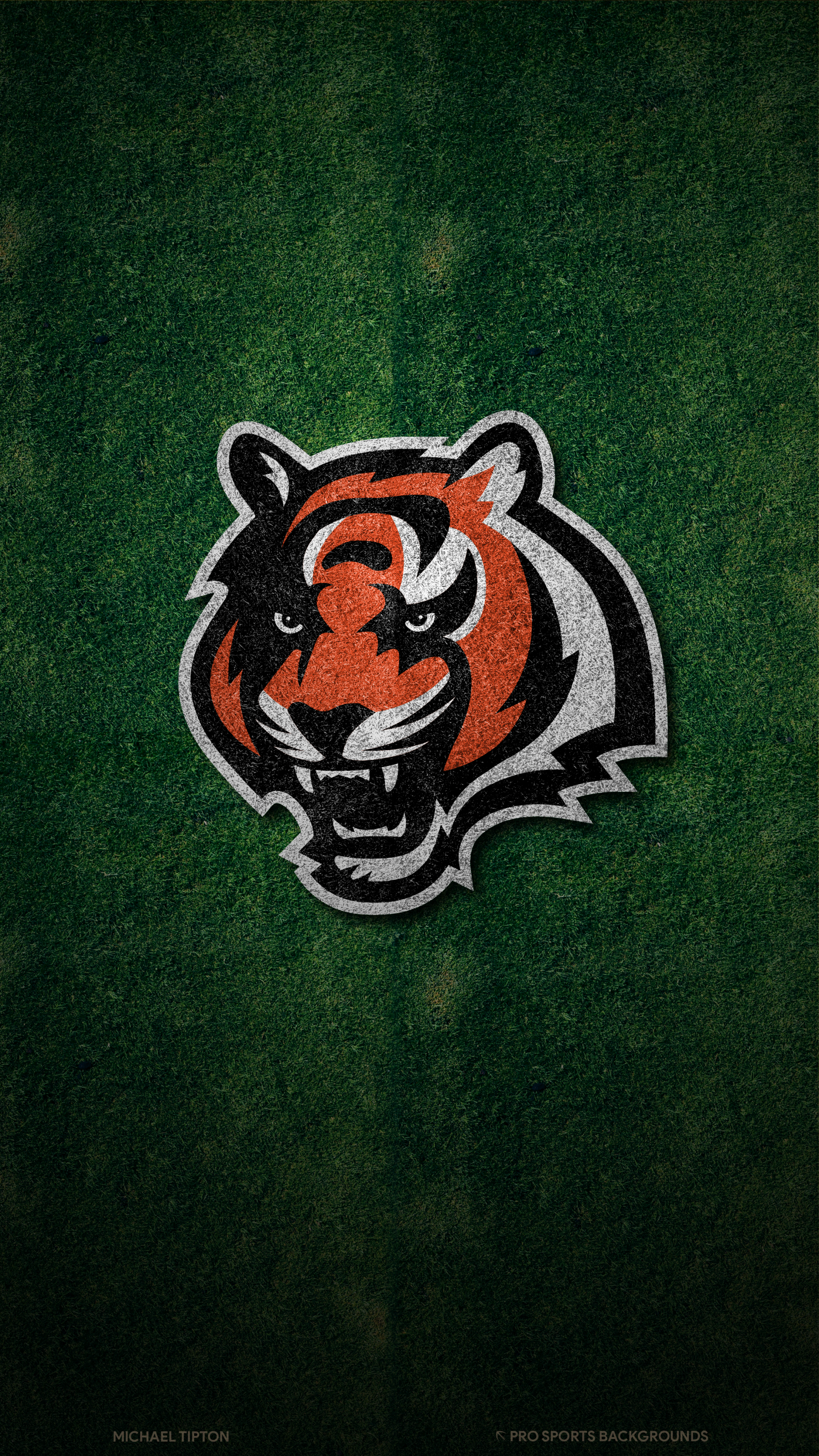 Download Cincinnati Bengals Sports Phone Wallpaper