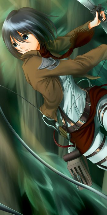 Mikasa Ackerman Anime Attack on Titan Phone Wallpaper