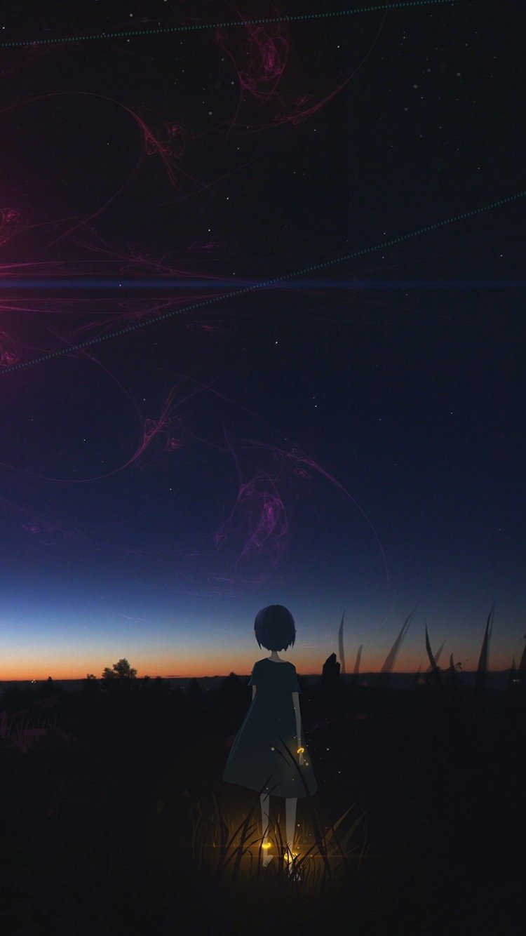 Original Anime phone wallpaper: a silhouetted figure holding a lantern in tall grass beneath a star-filled twilight sky with faint nebulae.