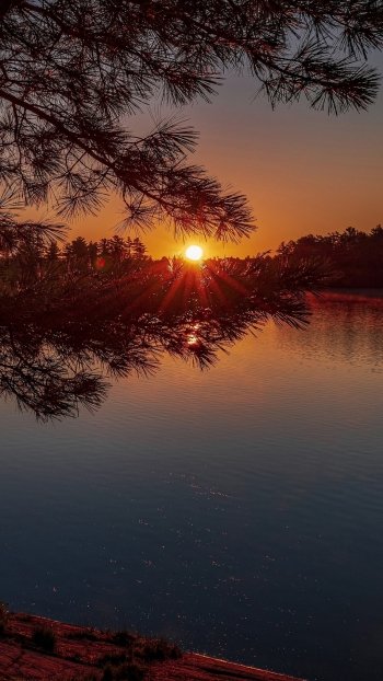 evening nature sunset Phone Wallpaper