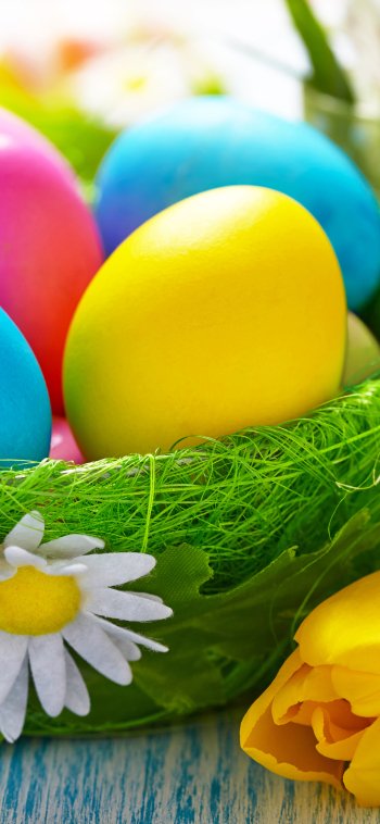  Easter Eggs and Flowers