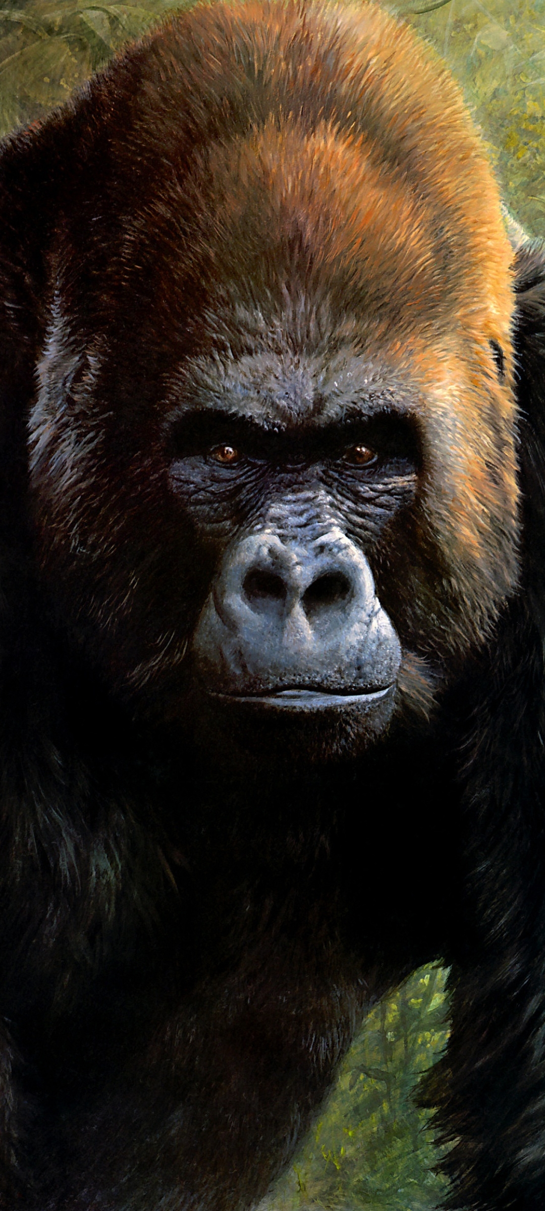 Gorilla Phone Wallpaper by John Seerey-Lester