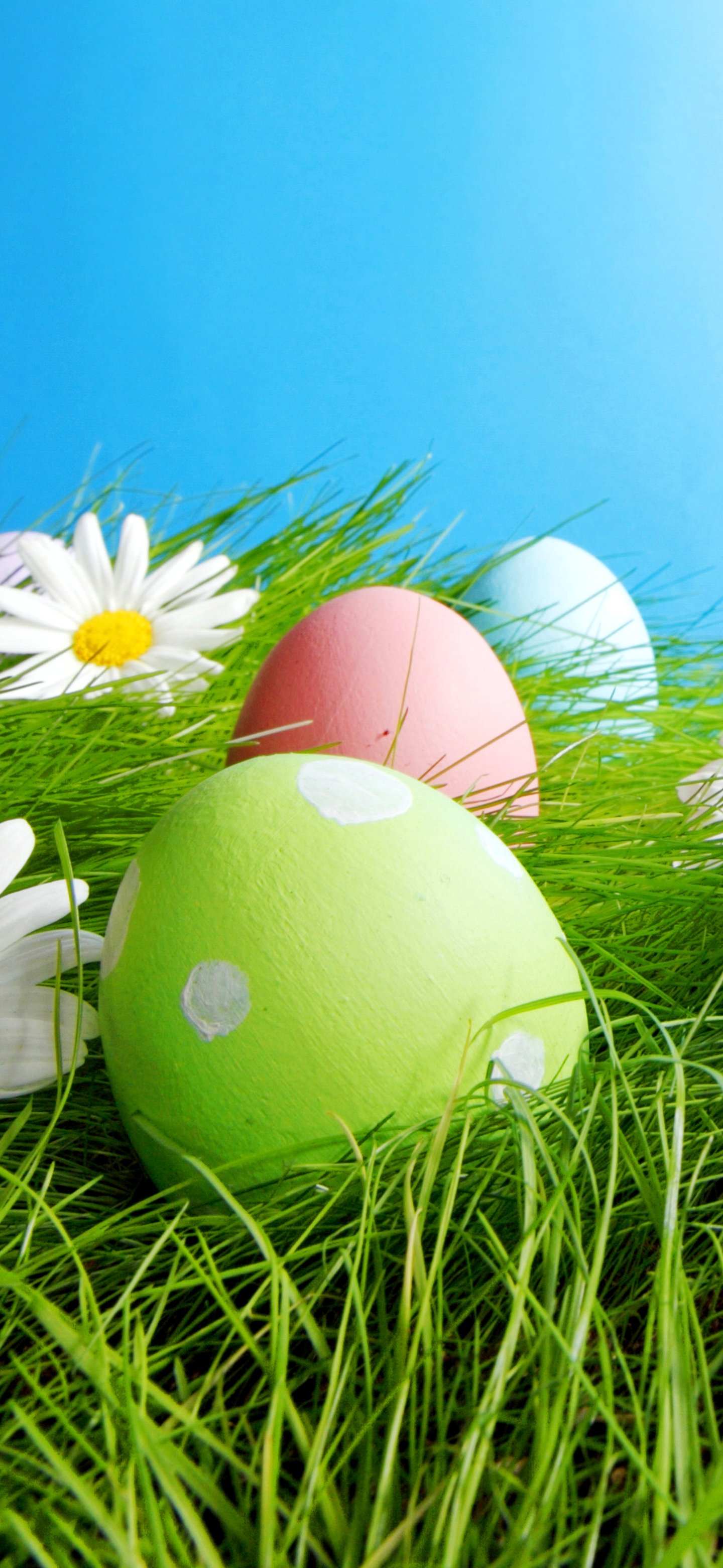 Easter Egg Phone Wallpapers