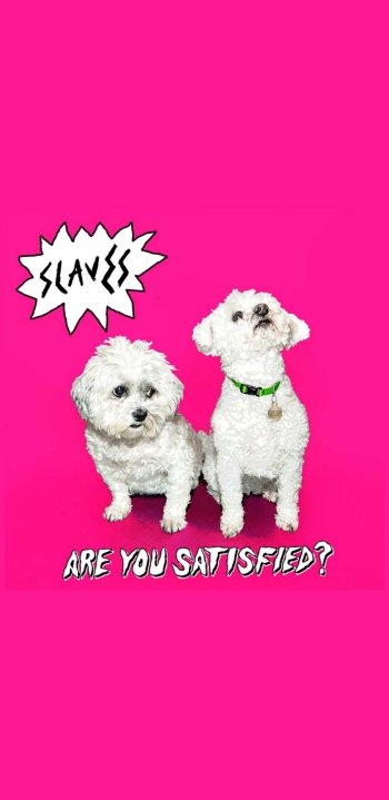  Slaves- Are you Satisfied? Album cover wallpaper