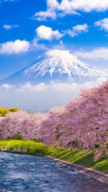 Japan nature Mount Fuji Phone Wallpaper