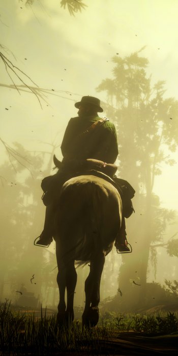  Red Dead Redemption 2 / Another Day in the Bayou