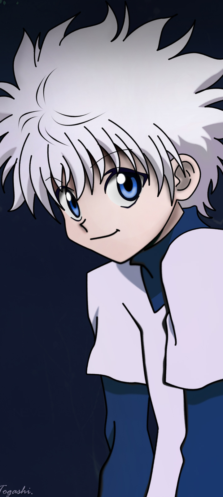 Hunter x Hunter Phone Wallpaper by 烏鴨 - Mobile Abyss