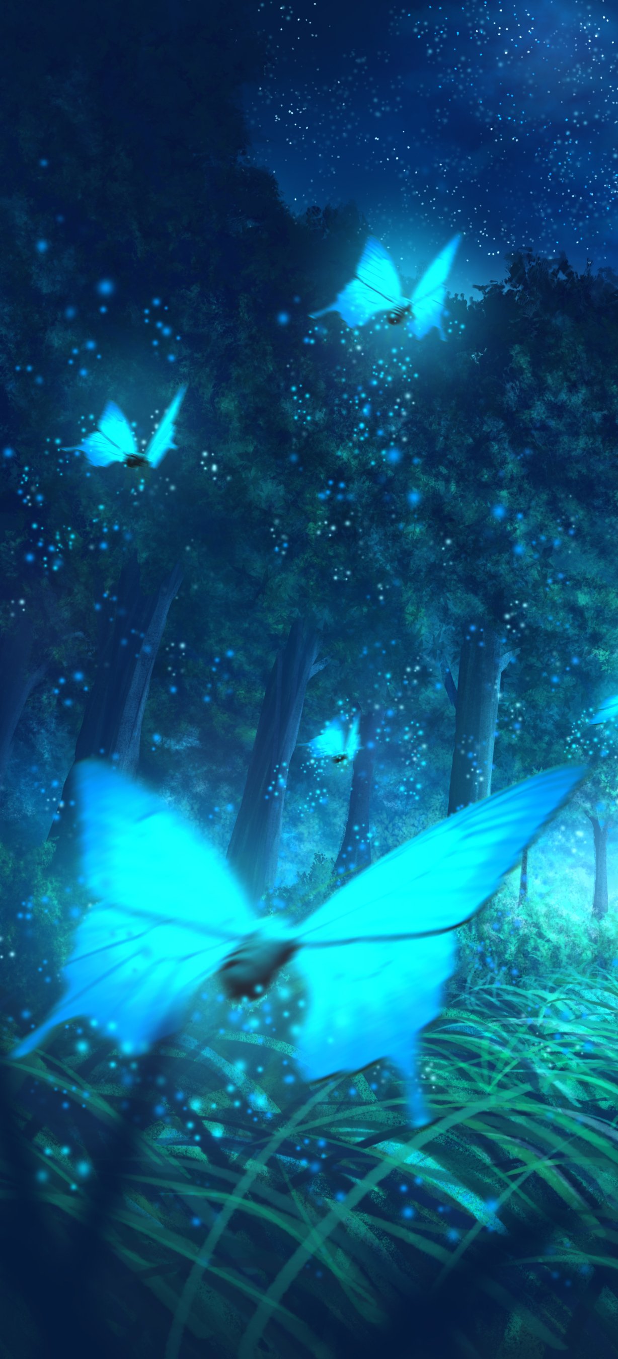 Download Butterfly Anime Night Anime Night Phone Wallpaper