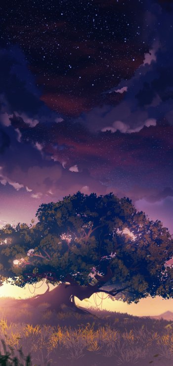 Video game Genshin Impact wallpaper: glowing ancient tree in a twilight meadow beneath a star-filled sky, phone wallpaper for iPhone and Android.
