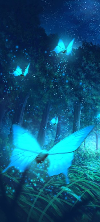 butterfly Anime night anime night Phone Wallpaper