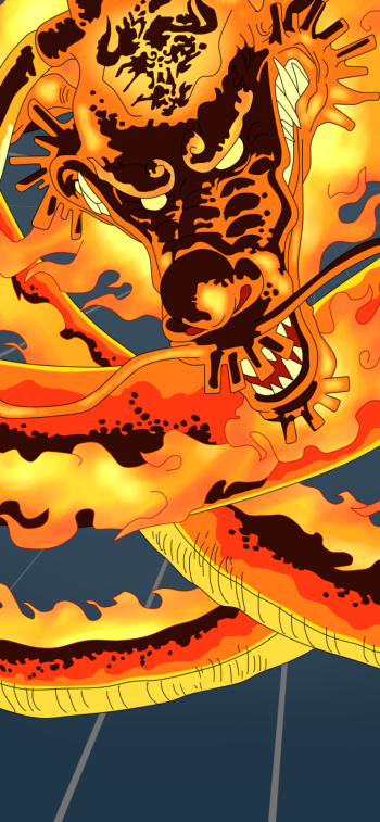  Luffy vs Kaido